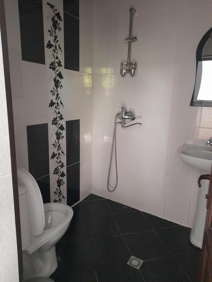 Guesthouse Borjomi Eksteriør bilde